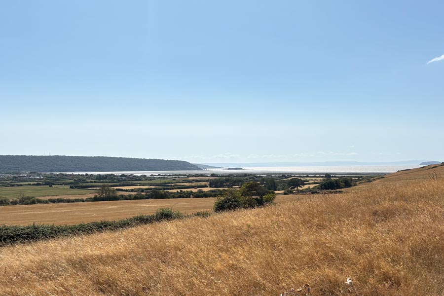 view